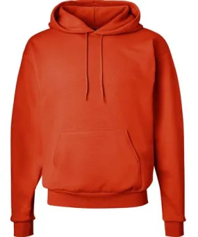 Hanes Men's Ecosmart Hooded Sweatshirt