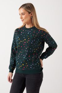 Sugarhill - Noah Sweatshirt -  Green Rainbown Leopard